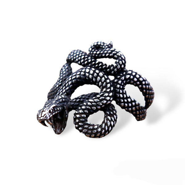 Anillo Snake (serpiente)